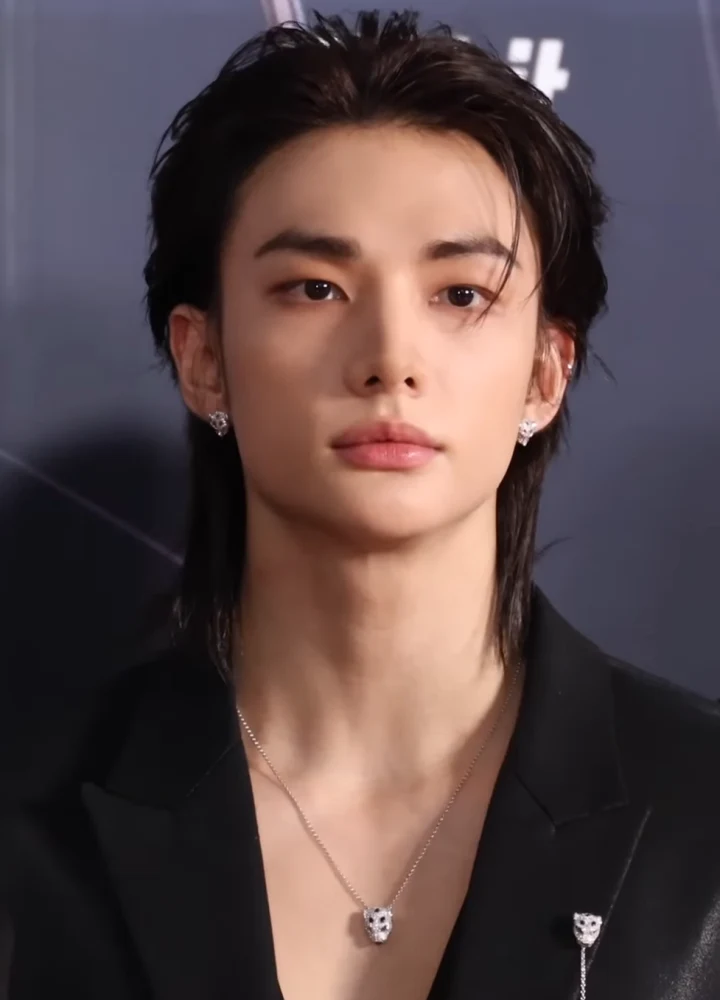Stray Kids 현진 MAXIDENT Weverse Pre-order Benefit