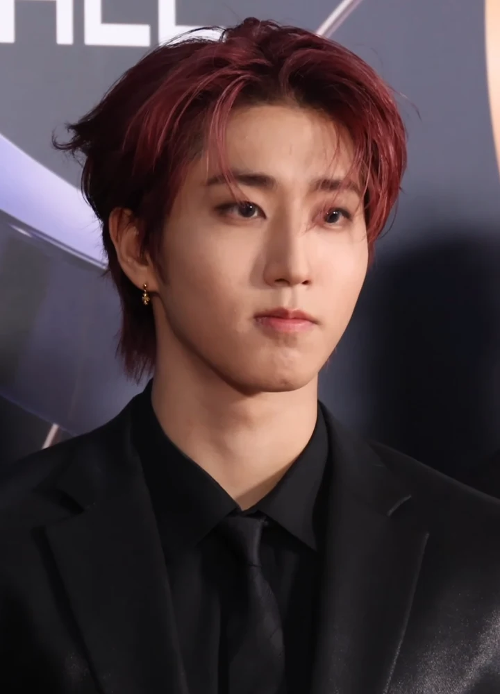 Stray Kids 한 MAXIDENT Official MD MD Limited